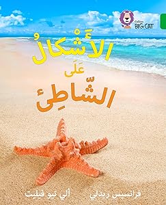 Collins Big Cat Arabic – Shapes on the Seashore: Level 5 (English and Arabic Edition) by Collins UK
