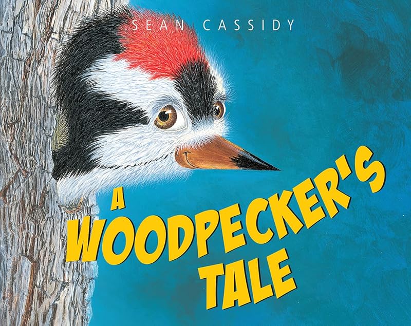 A Woodpecker's Tale (Tell Me More Storybook) by Sean Cassidy