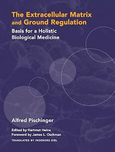The Extracellular Matrix and Ground Regulation: Basis for a Holistic Biological Medicine by Alfred Pischinger