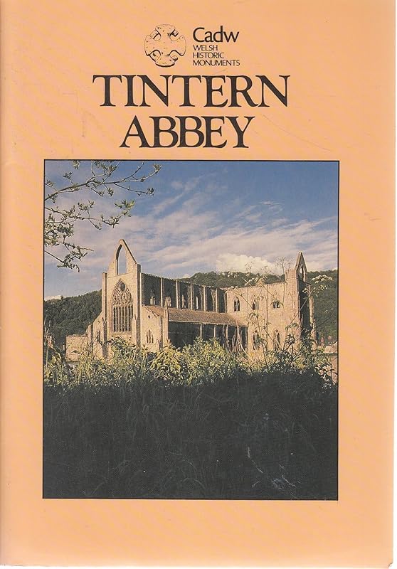 Tintern Abbey by David M Robinson