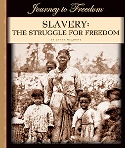 Slavery: The Struggle for Freedom (Journey to Freedom) by James Meadows