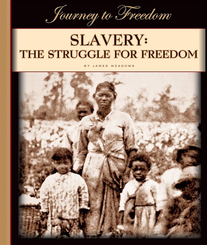 Slavery: The Struggle for Freedom (Journey to Freedom) by James Meadows