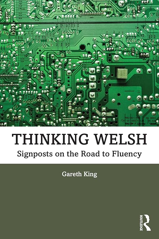 Thinking Welsh: Signposts on the Road to Fluency by Gareth King