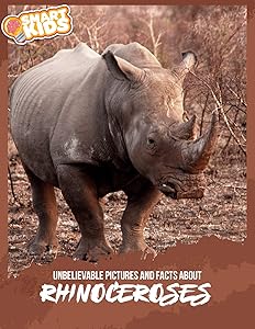 Unbelievable Pictures and Facts About Rhinoceroses