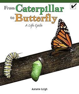 From Caterpillar to Butterfly: A Life Cycle (Real Life Readers)