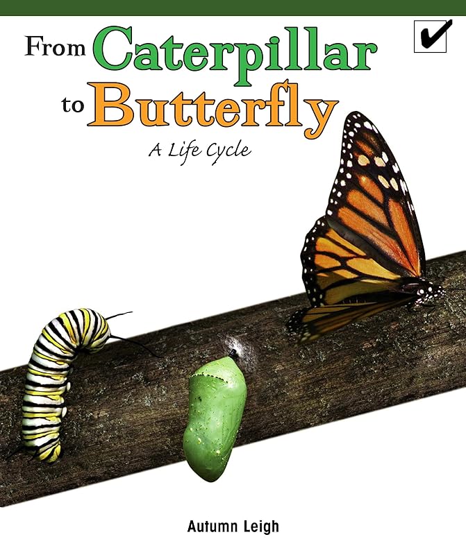 From Caterpillar to Butterfly: A Life Cycle (Real Life Readers) by Autumn Leigh