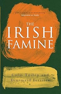The Irish Famine by Diarmaid Ferriter