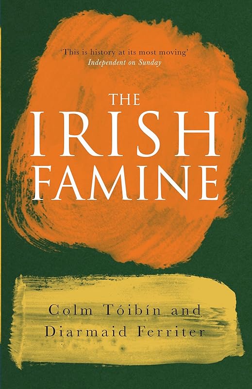The Irish Famine by Diarmaid Ferriter
