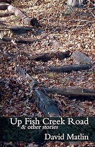 Up Fish Creek Road: & Other Stories by David Matlin