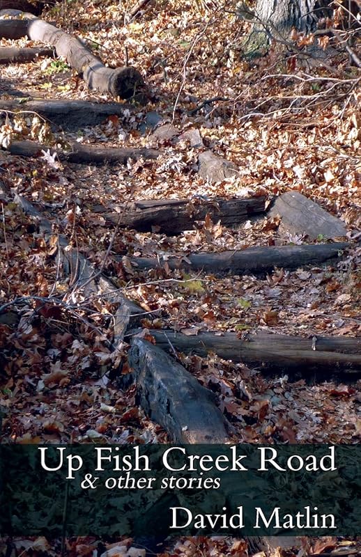 Up Fish Creek Road: & Other Stories by David Matlin