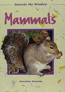 Mammals (Outside My Window)