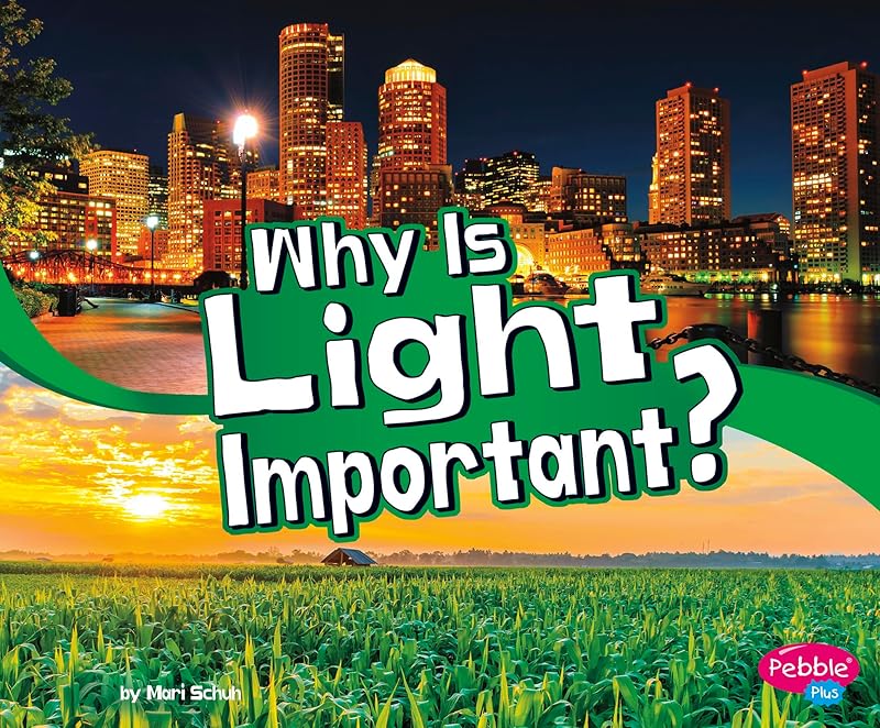 Why Is Light Important? (Let's Look at Light) by Mari Schuh