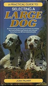 A Practical Guide to Selecting a Large Dog (Practical Guide S.)