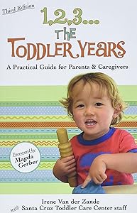 1,2,3...The Toddler Years: A Practical Guide for Parents and Caregivers by Irene Van der Zande