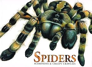 Spiders Scorpions & Creepy Crawlies