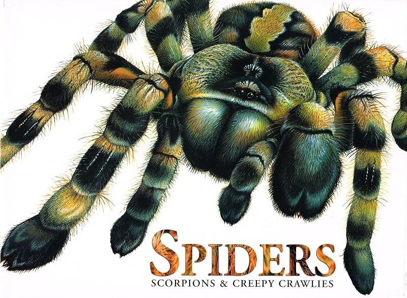 Spiders Scorpions & Creepy Crawlies by Claudia Martin