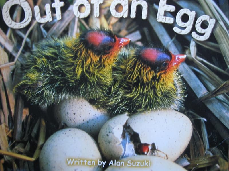 Gear Up, Out of An Egg, Grade 1, Single Copy by McGraw Hill