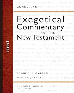 James (Zondervan Exegetical Commentary on the New Testament) by Craig L. Blomberg