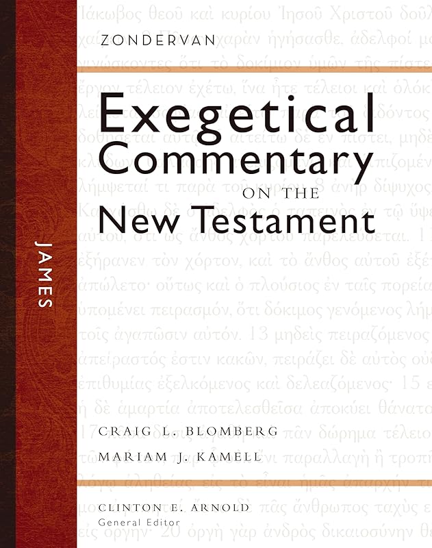 James (Zondervan Exegetical Commentary on the New Testament) by Craig L. Blomberg