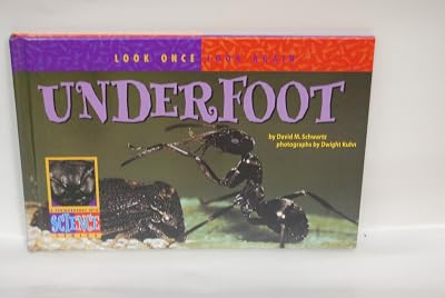 Underfoot (Look Once, Look Again)