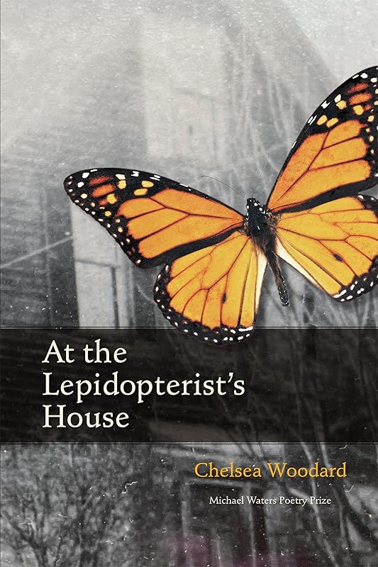 At the Lepidopterist’s House by Chelsea Woodard