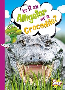 Is It an Alligator or a Crocodile? (Can You Tell the Difference?)
