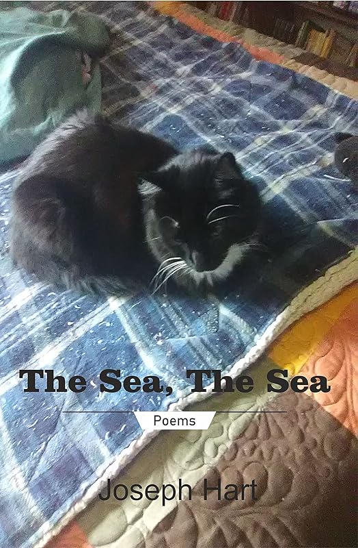 The Sea, The Sea by Joseph Hart