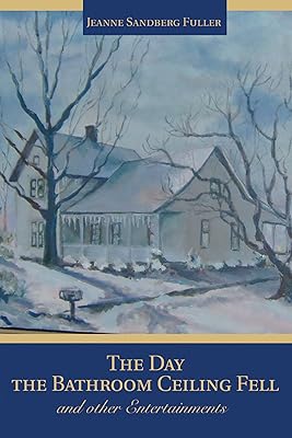 The Day the Bathroom Ceiling Fell: And Other Entertainments