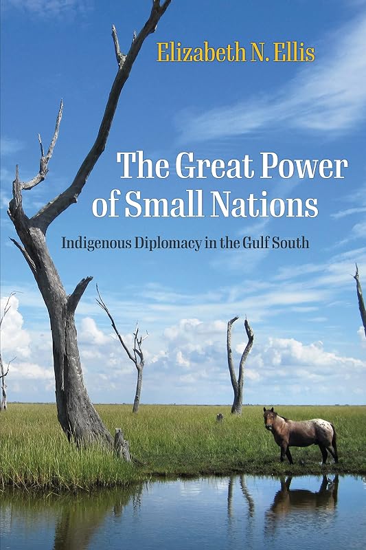 The Great Power of Small Nations: Indigenous Diplomacy in the Gulf South (Early American Studies) by Elizabeth N. Ellis