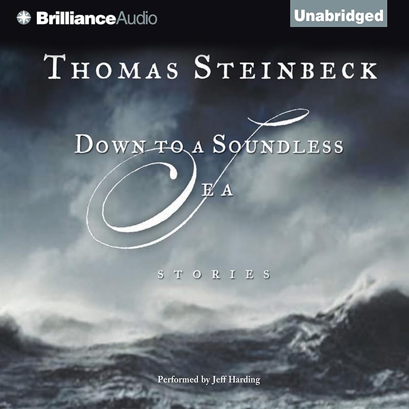 Down to a Soundless Sea: Stories by Thomas Steinbeck