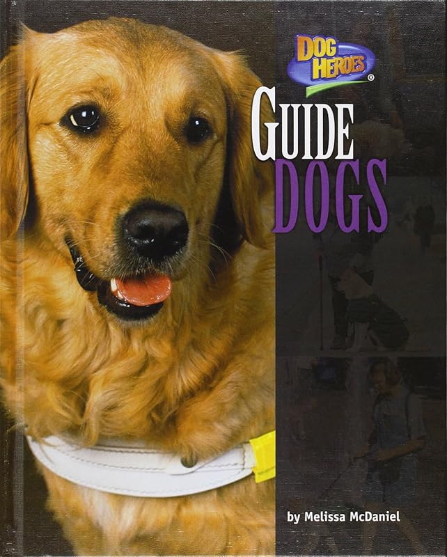 Dog Heroes by Bearport Publishing