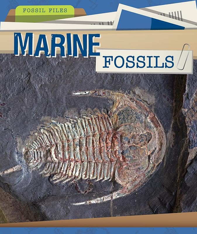 Marine Fossils (Fossil Files) by Heather Moore Niver