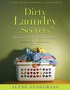 Dirty Laundry Secrets - a journey to meet the Launderer by Alene Snodgrass