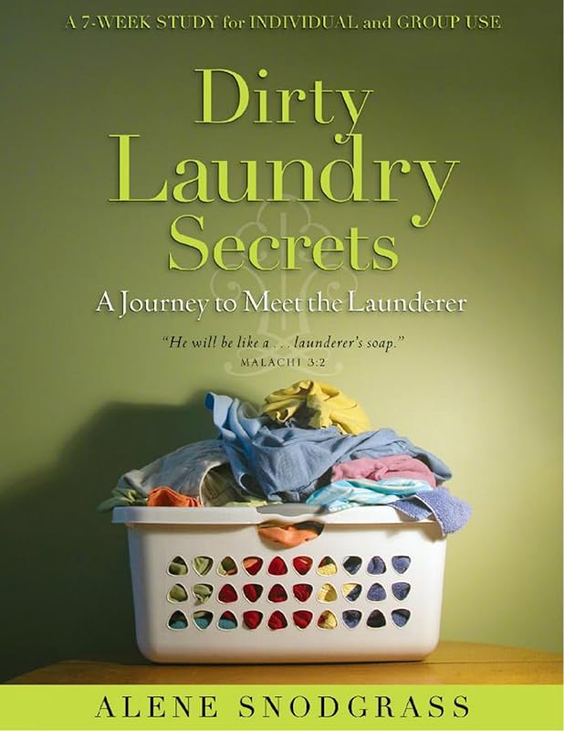 Dirty Laundry Secrets - a journey to meet the Launderer by Alene Snodgrass