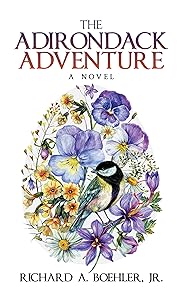 The Adirondack Adventure: A Novel