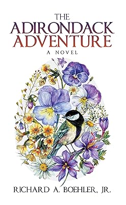 The Adirondack Adventure: A Novel