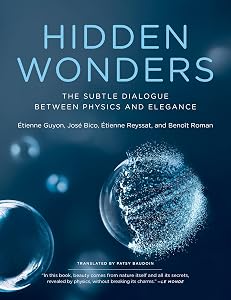 Hidden Wonders: The Subtle Dialogue Between Physics and Elegance by Etienne Guyon