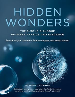 Hidden Wonders: The Subtle Dialogue Between Physics and Elegance