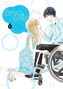 Perfect World Vol. 4 by Rie Aruga