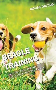 BEAGLE TRAINING: All the tips you need for a well-trained Beagle