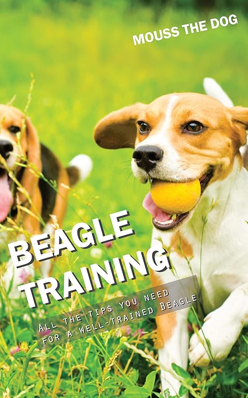 BEAGLE TRAINING: All the tips you need for a well-trained Beagle by MOUSS THE DOG
