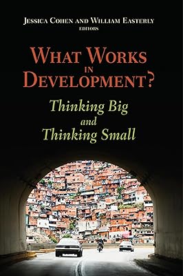 What Works in Development?: Thinking Big and Thinking Small