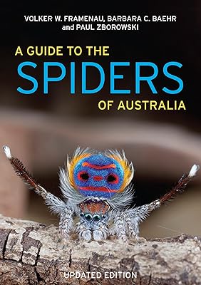 A Guide to Spiders of Australia
