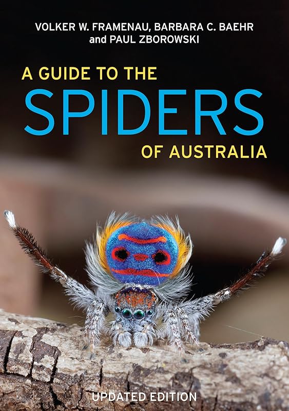 A Guide to Spiders of Australia by Paul Zborowski