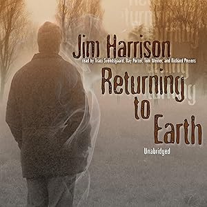 Returning to Earth