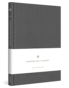 ESV Panorama New Testament (Cloth over Board, Gray)