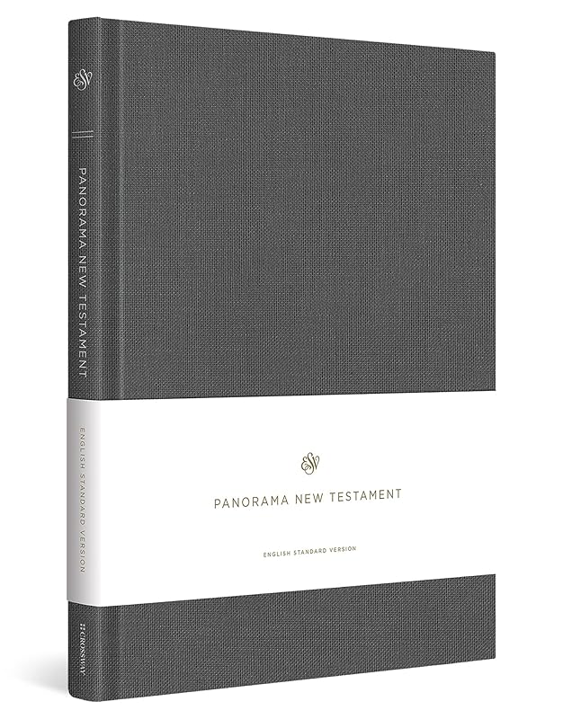 ESV Panorama New Testament (Cloth over Board, Gray) by ESV Bibles by Crossway