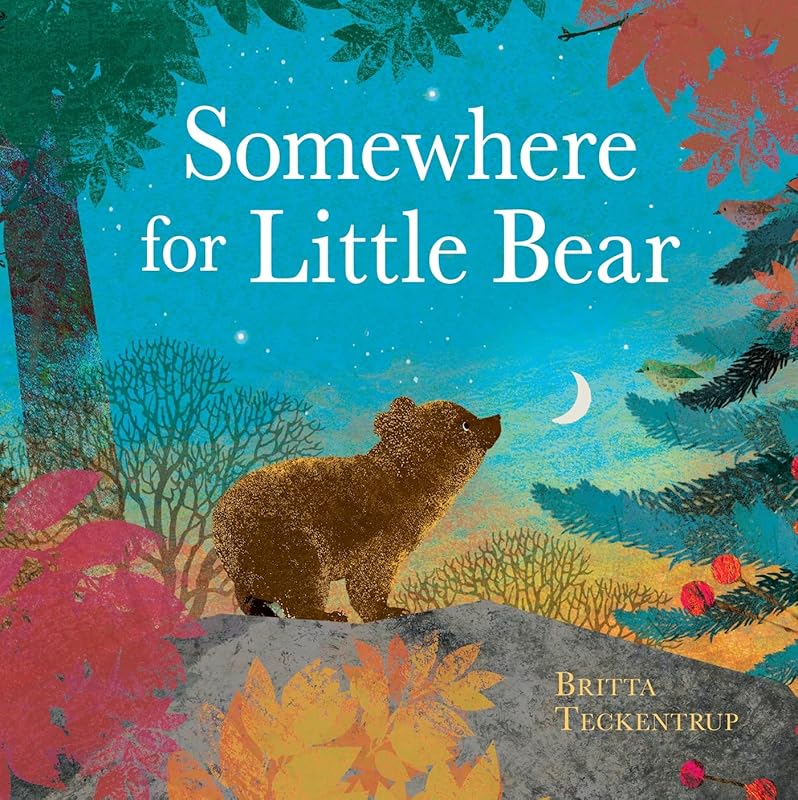 Somewhere for Little Bear by Britta Teckentrup