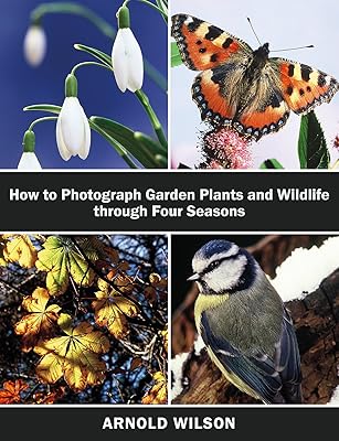 How To Photograph Garden Plants and Wildlife Through Four Seasons