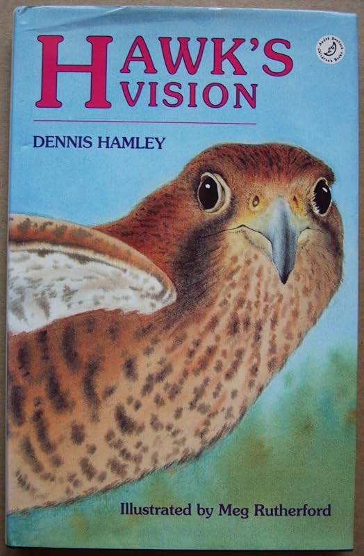 Hawk's Vision (Hippo Fiction) by Dennis Hamley